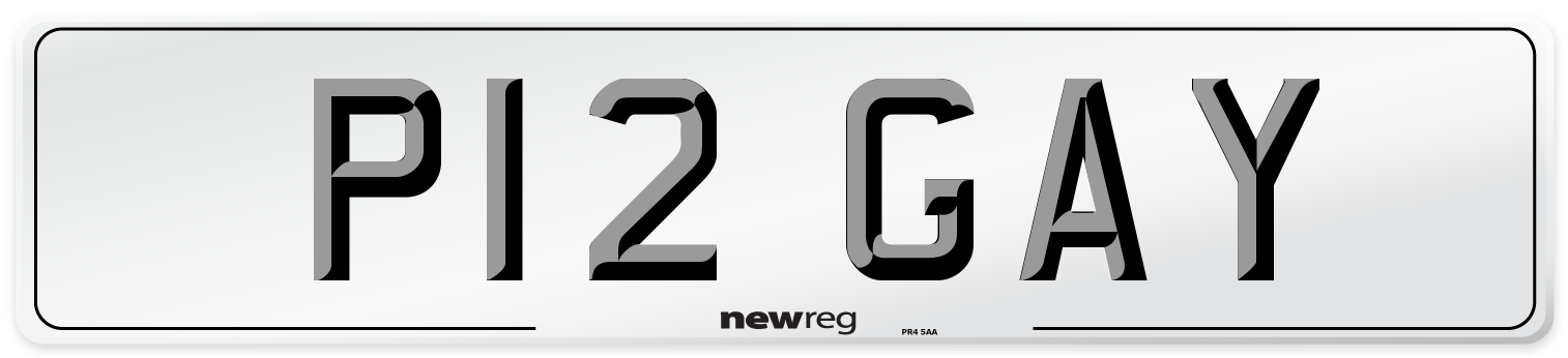 P12 GAY Number Plate from New Reg